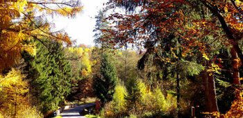 La Croisée des Bois