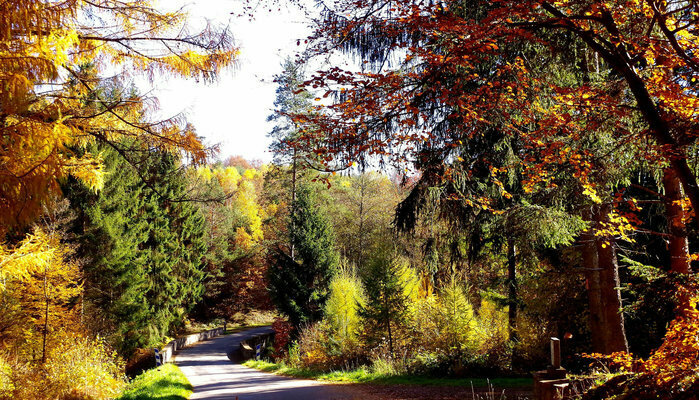 Route des Chaumes du Puy