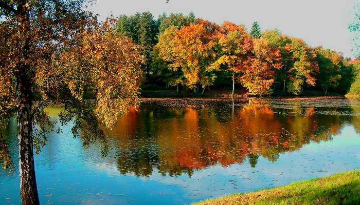 Etang de Malguette