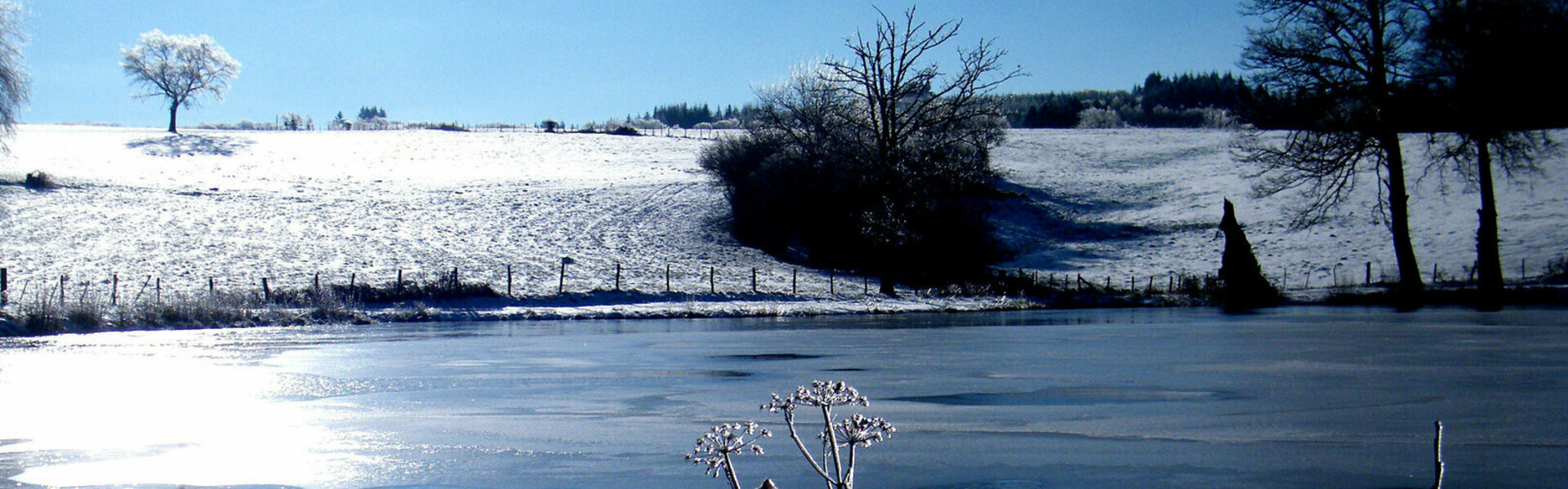 chambre froide règlement